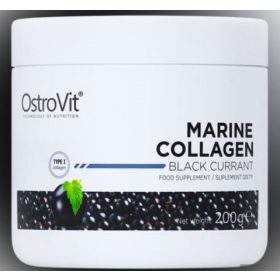 1marine_coll_580x540t2_ic