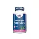 andrographis2
