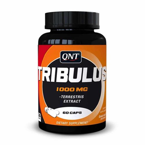 QNT_L-GLUTAMINE_6000_PURE