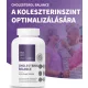  USA medical  Koleszterin balansz növényi szterollal – 90db kapszula